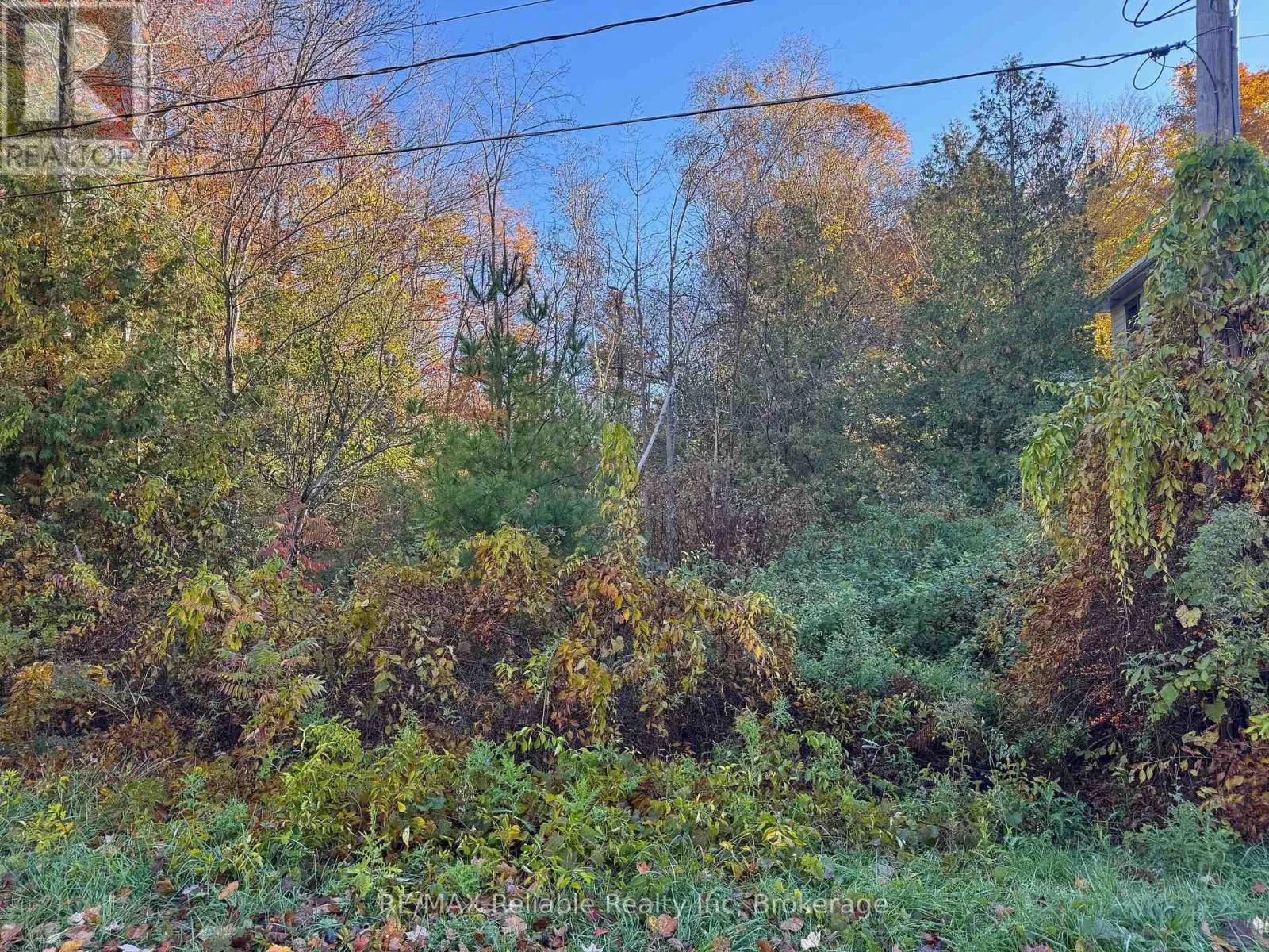 28 George Street, Bluewater, Ontario N0M 1G0