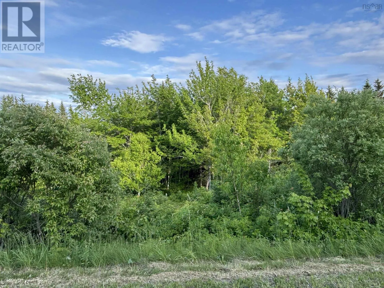 28 Parkland Place, Dalem Lake, Nova Scotia B1Y 2X9