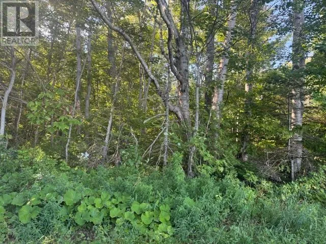 2832 Rte 14, Glenwood, Prince Edward Island C0B 1V0