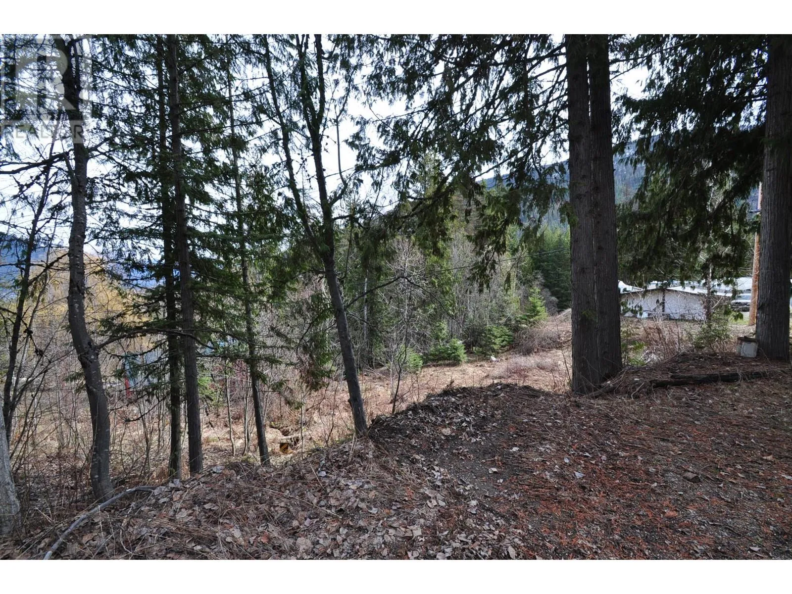 Other for rent: 2835 Silver King Road, Nelson, British Columbia V1L 7A5