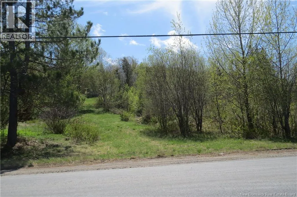 29 2nd Avenue, Napadogan, New Brunswick E6B 1Y5