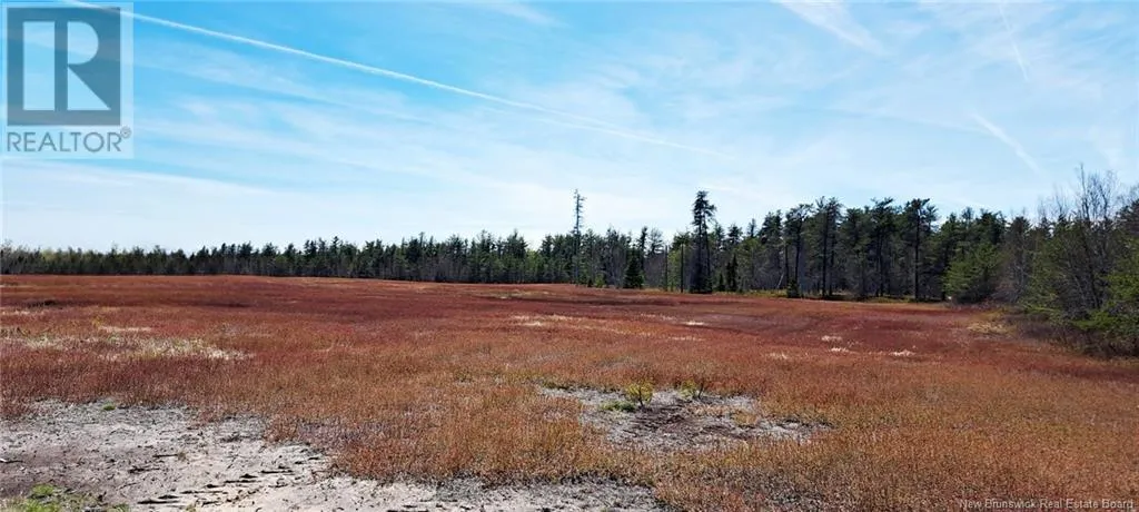 29 Acres Ch Adelard Road, Pont-Lafrance, New Brunswick E1X 1P1