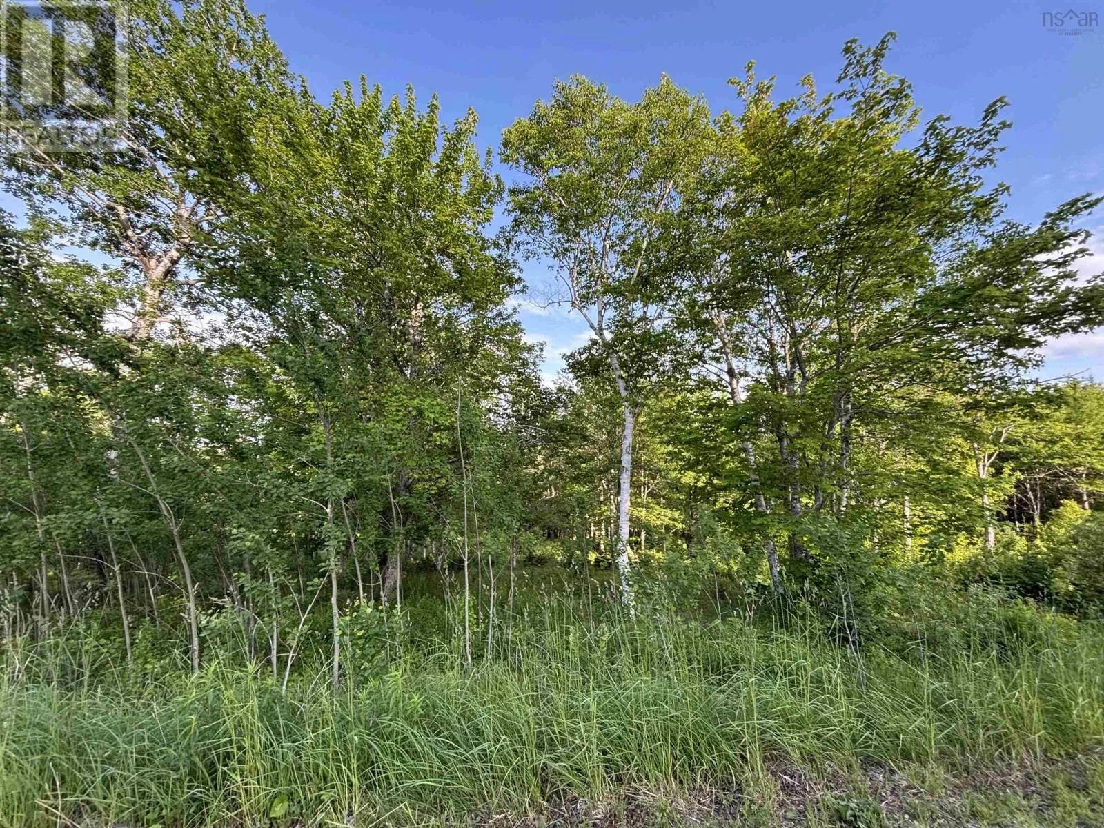 29 Parkland Place, Dalem Lake, Nova Scotia B1Y 2X9