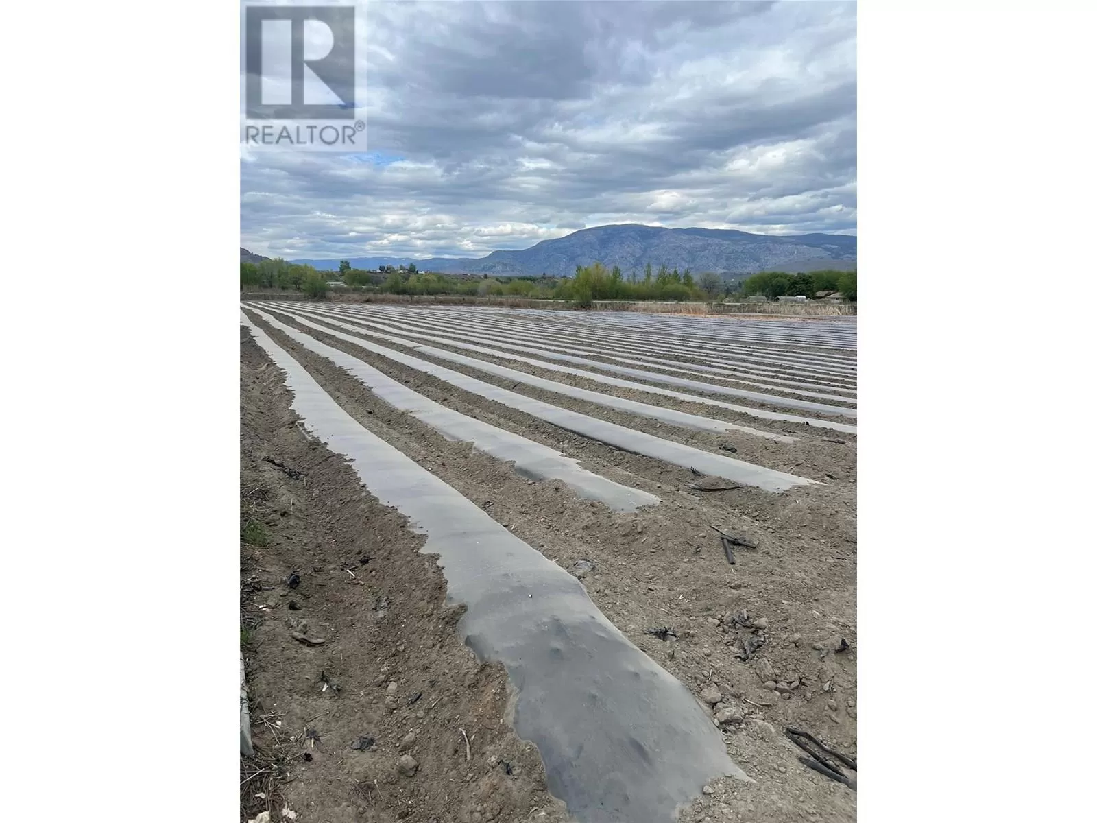 Other for rent: 292 9 Road, Oliver, British Columbia V0H 1T0