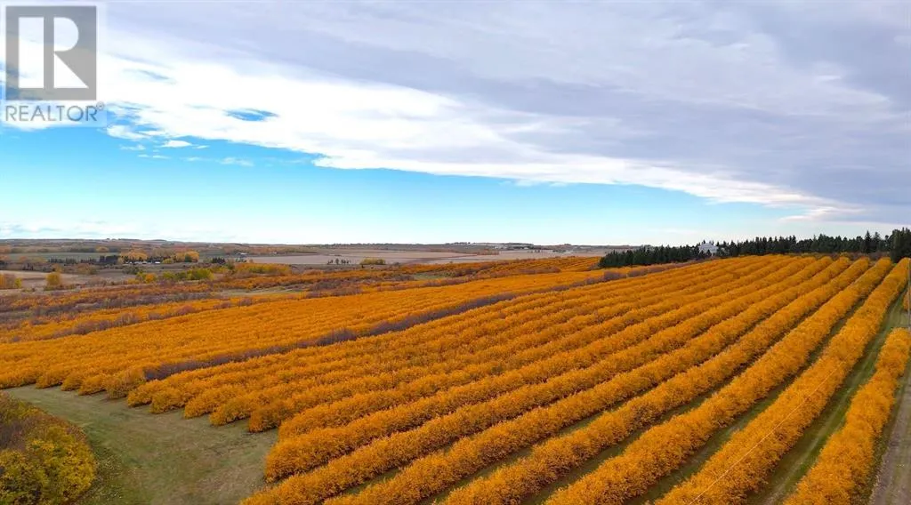 29250 Rr 34, Rural Mountain View County, Alberta T0M 0S0