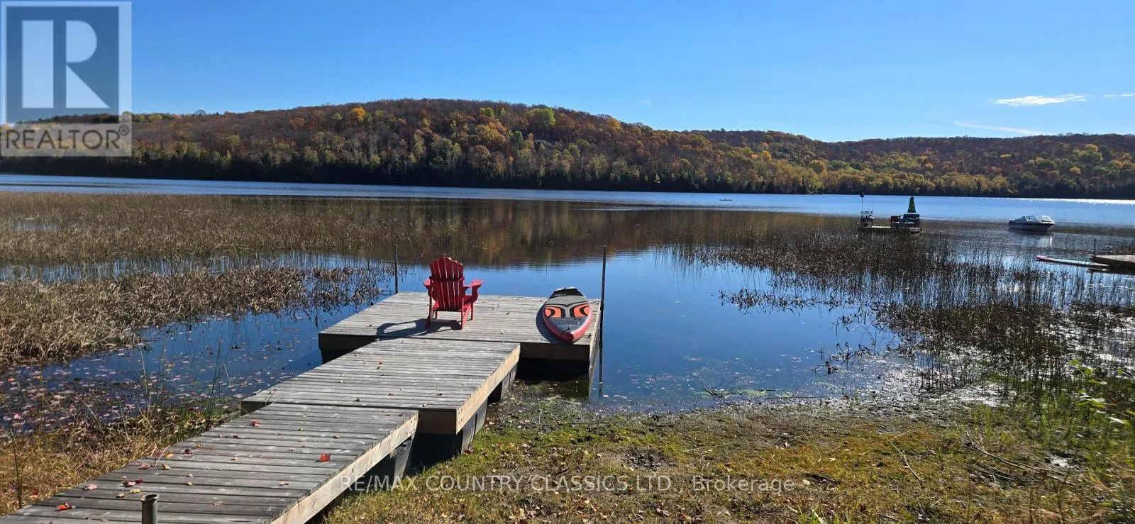 House for rent: 294 Albion Lake Drive, Faraday, Ontario K0L 1C0