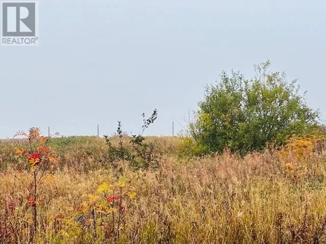 297 Main Street, New Wes Valley, Newfoundland & Labrador A0G 4R0