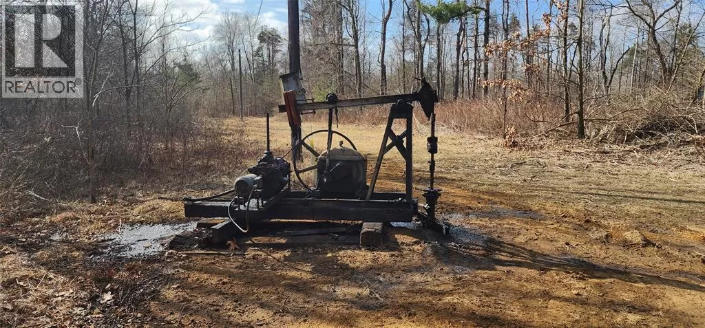 29771 Zone Rd 7 ..., Bothwell, Ontario N0P 1C0