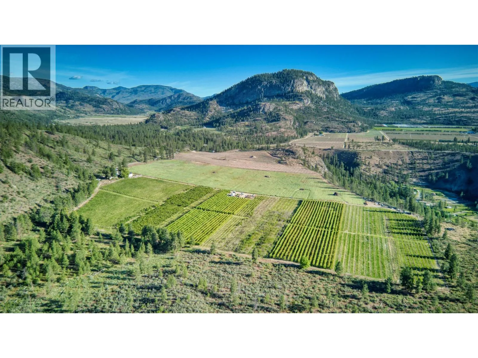 Other for rent: 298 Test Orchard Road, Oliver, British Columbia V0H 1T5