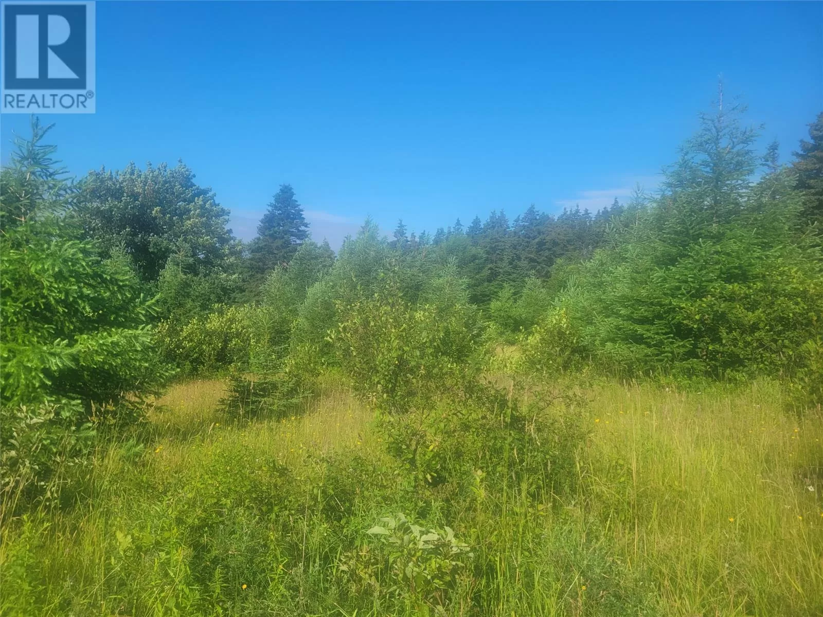 2a Williams Lane, Kippens, Newfoundland & Labrador A2N 3V1