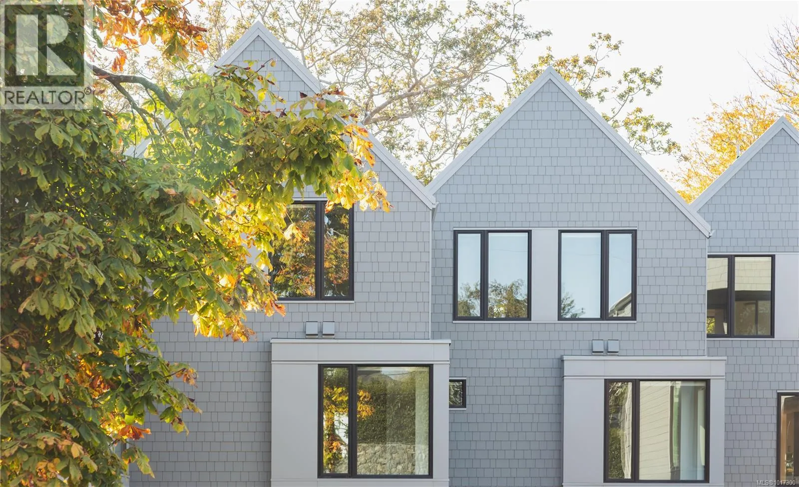 Row / Townhouse for rent: 3 909 Redfern St, Victoria, British Columbia V8S 4G6