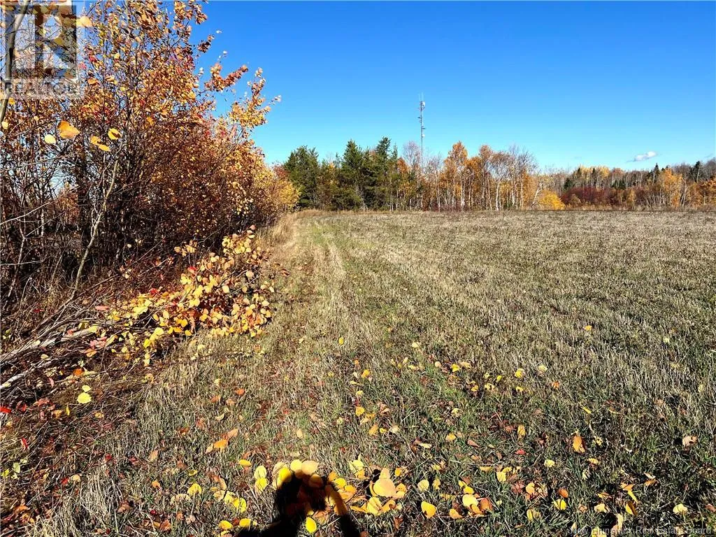 3 Acres Ch Eustache Hache, Saint-Isidore, New Brunswick E8M 1G7