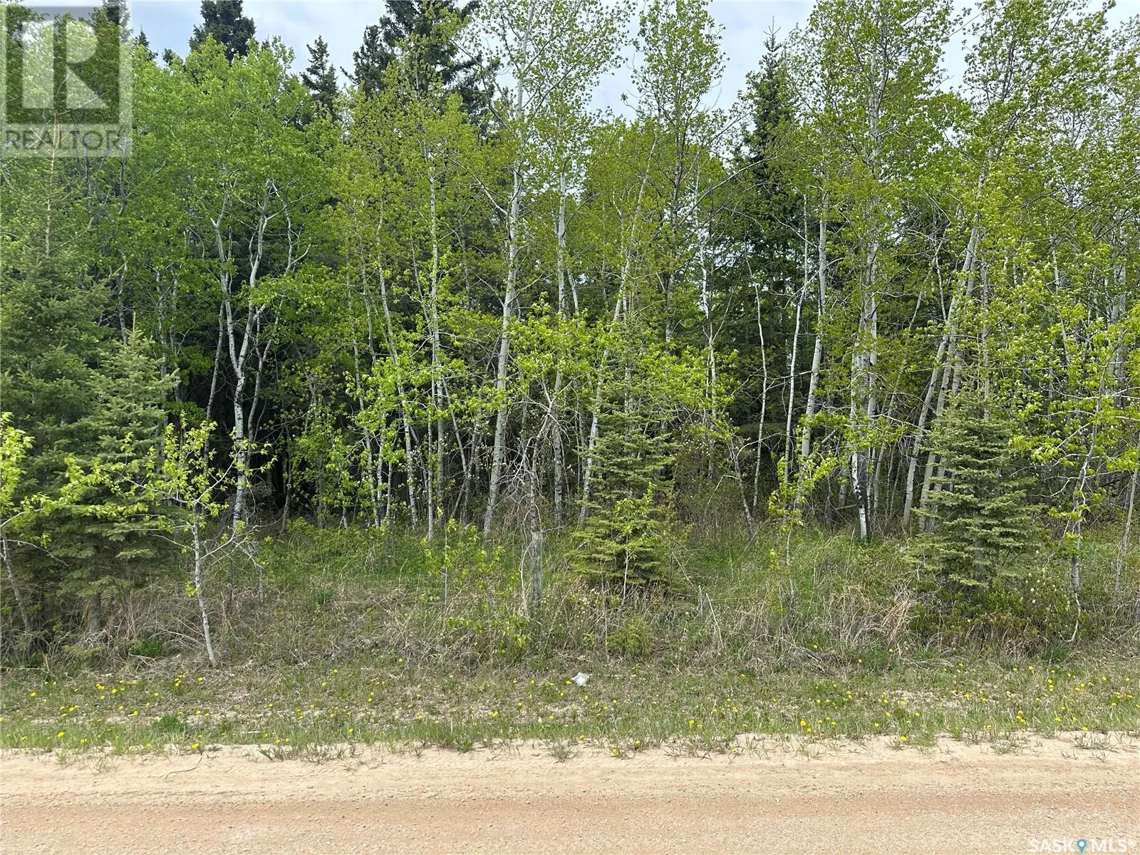 Unknown for rent: 3 George Street, Big River, Saskatchewan S0J 0E0