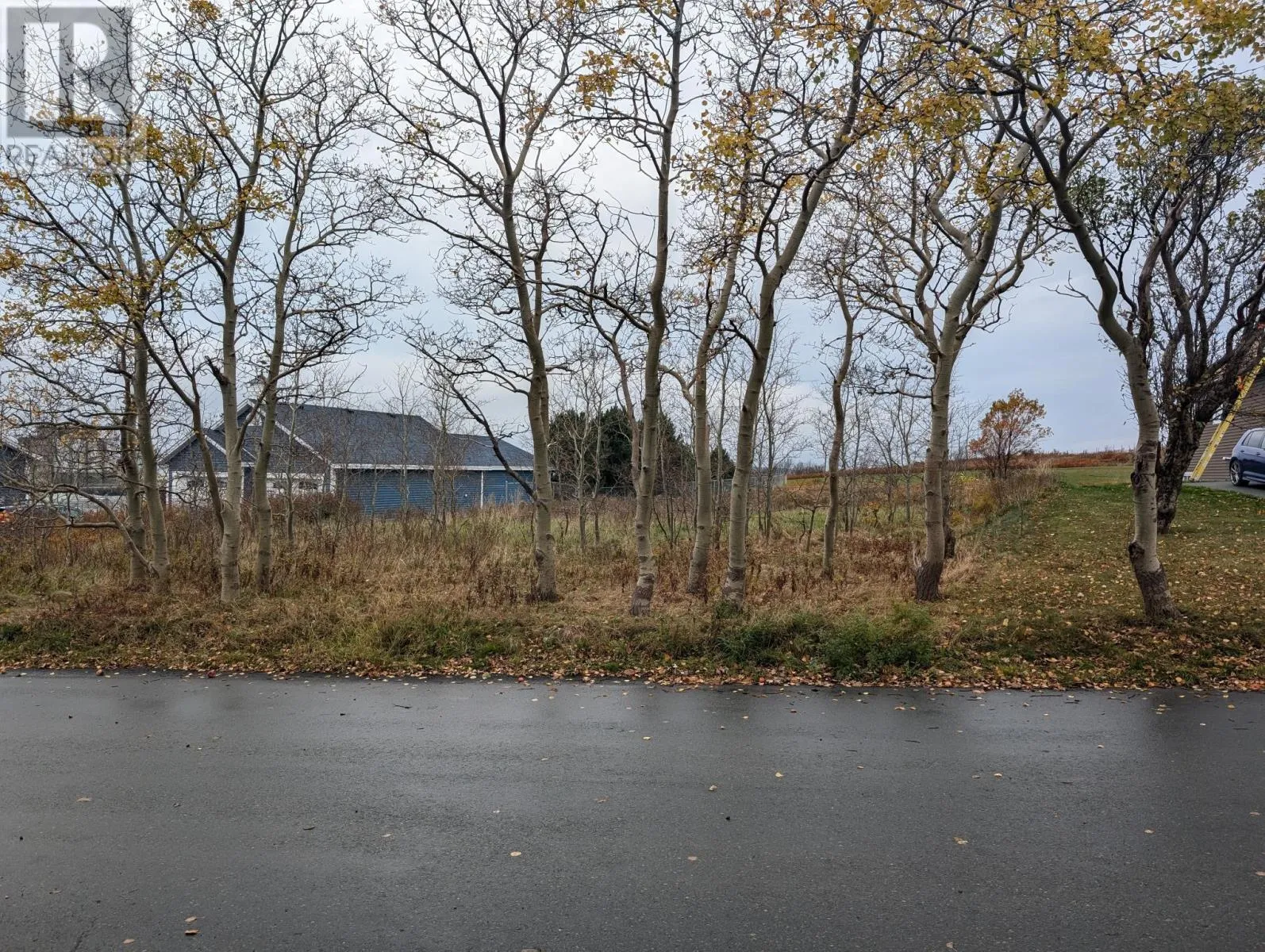 30 Baird's Lane, Conception Bay South, Newfoundland & Labrador A1W 4X4