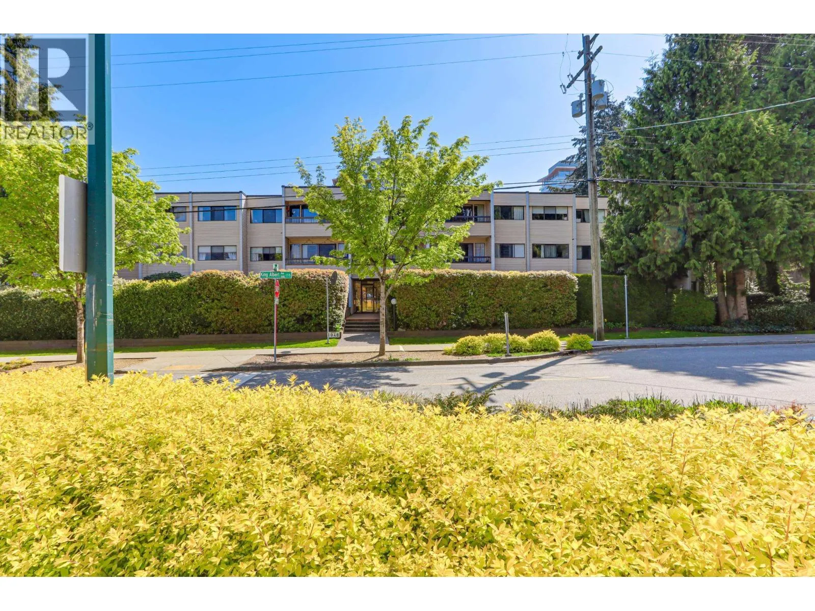 Apartment for rent: 301 1048 King Albert Avenue, Coquitlam, British Columbia V3J 1X5