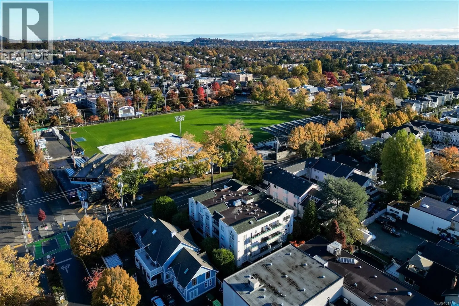 Apartment for rent: 302 1007 Caledonia Ave, Victoria, British Columbia V8T 1E7