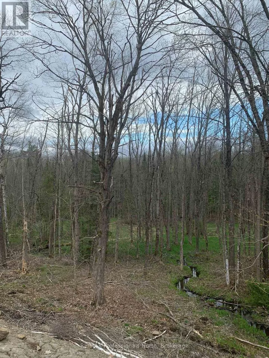 3052 Deep Bay Road, Minden Hills, Ontario K0M 2K0