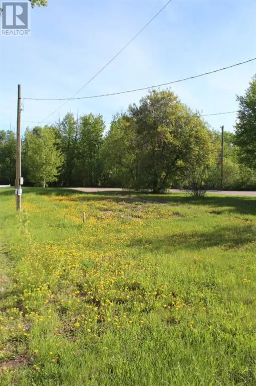 307 3rd Street Se, Manning, Alberta T0H 2M0