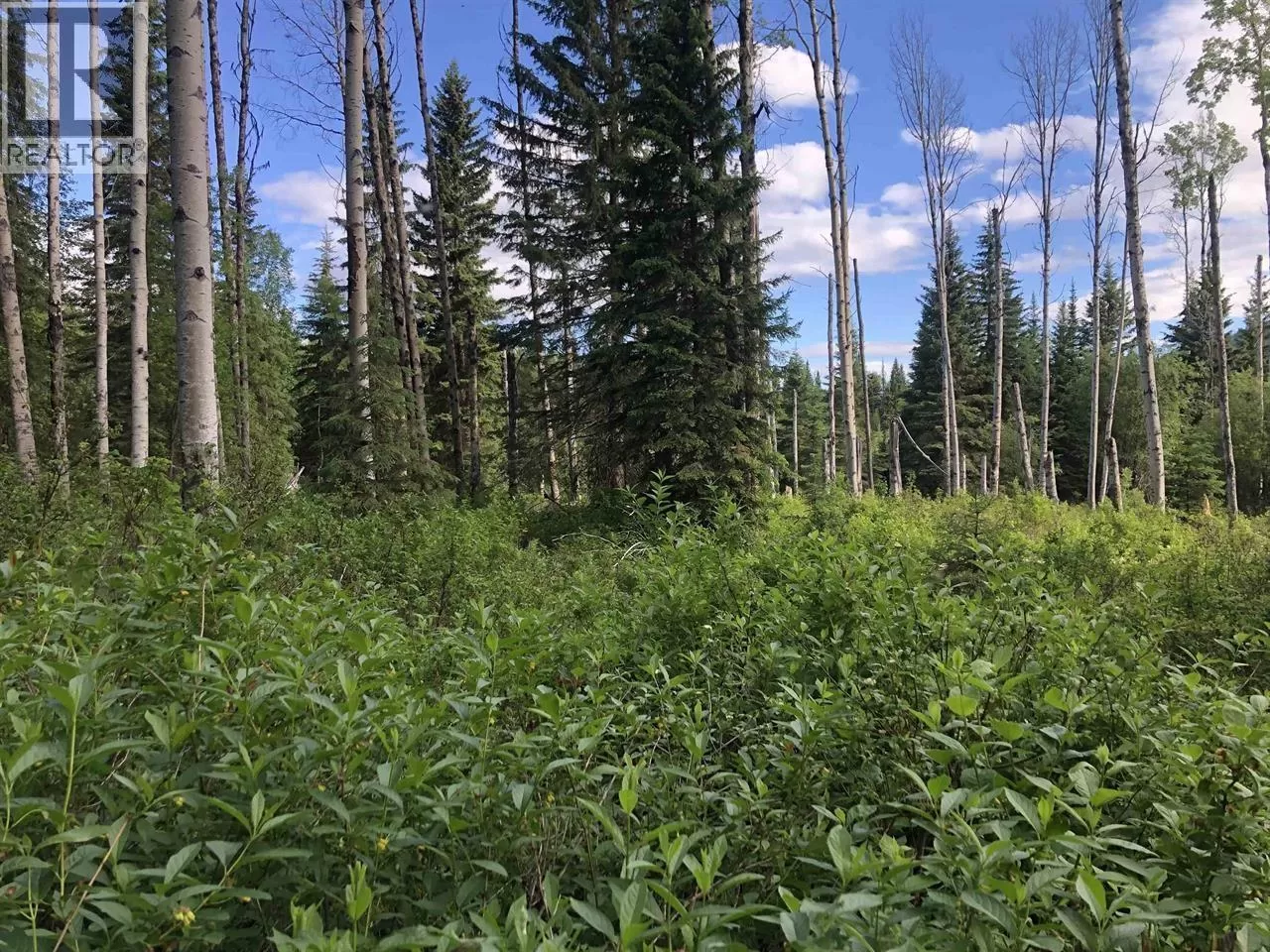 3078 Bradley Creek Road, 100 Mile House, British Columbia V0K 1M0