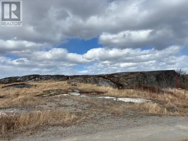 31 Brookfield Road, New Wes Valley, Newfoundland & Labrador A0G 4R0