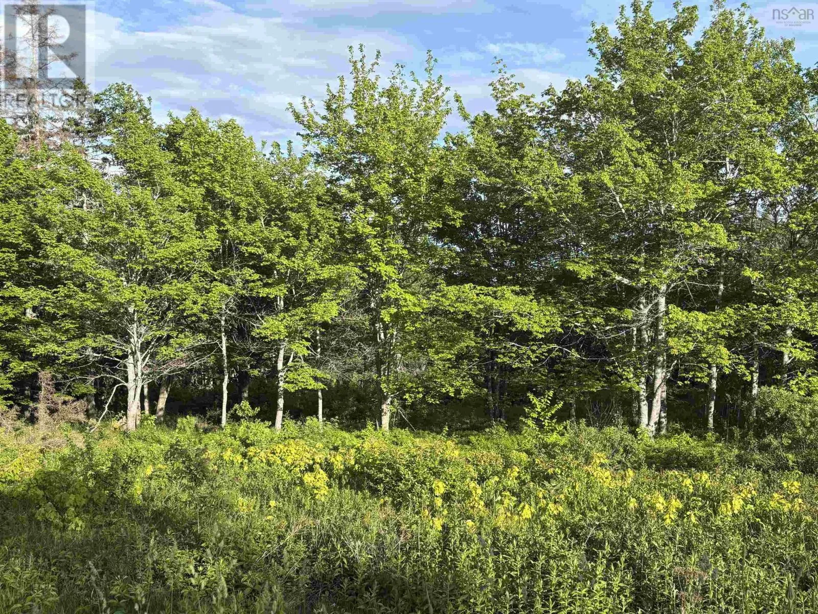 31 Parkland Place, Dalem Lake, Nova Scotia B1Y 2X9