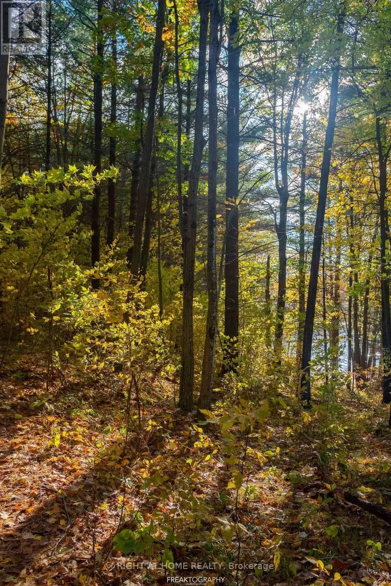 31099 Highway 7 Highway, Frontenac, Ontario K0H 1Z0