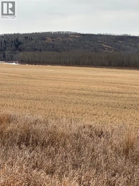 3-1-2121458 242a Range, Rural Birch Hills County, Alberta T0H 3R0