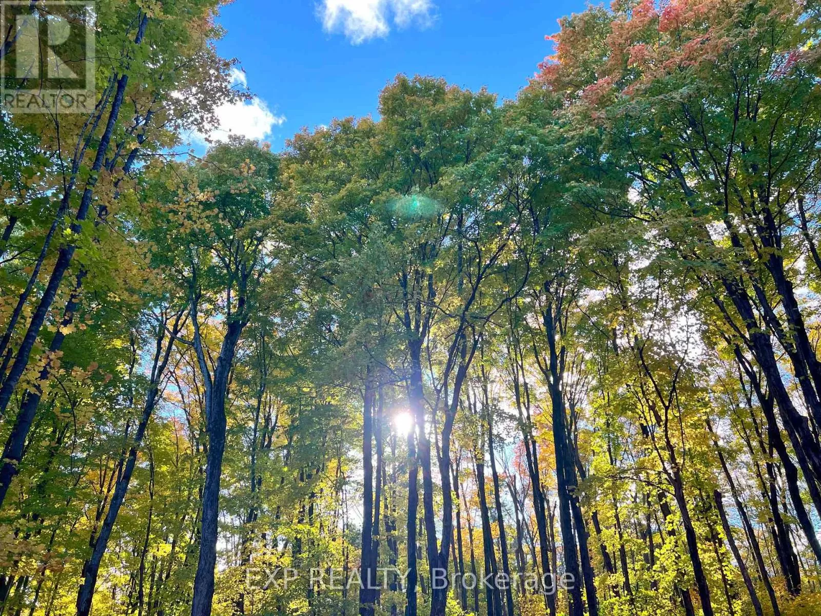 3191 Mountainview Road, Killaloe, Hagarty and Richards, Ontario K0J 2A0