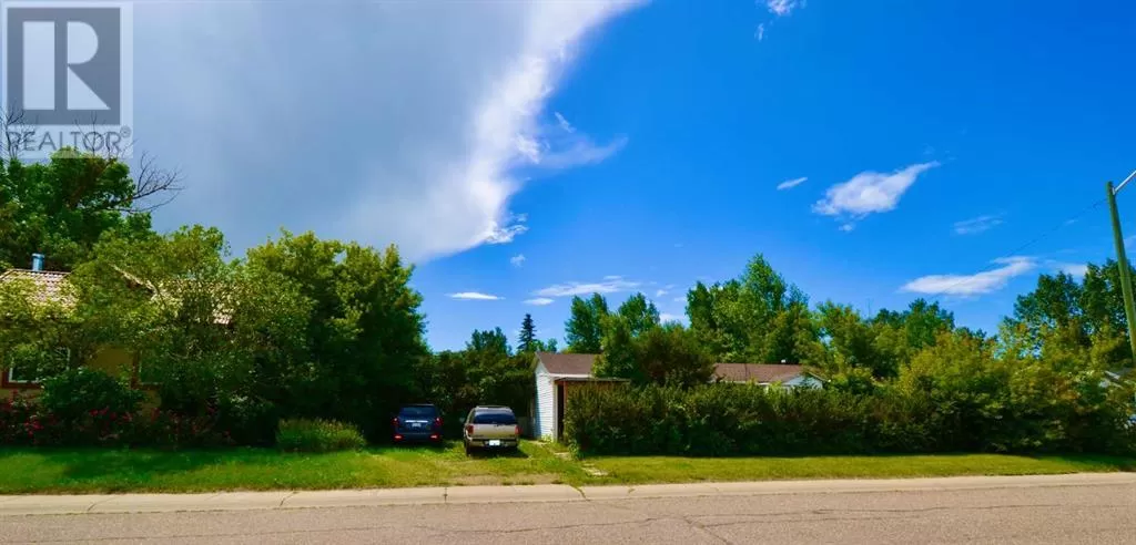 House for rent: 323 3 Street, Irricana, Alberta T0M 1B0