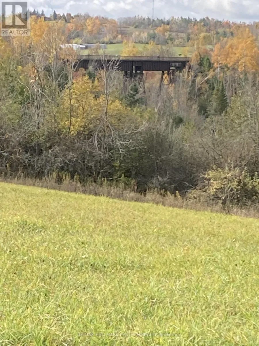 323 Orange Corners Road, Kawartha Lakes, Ontario K0L 2W0