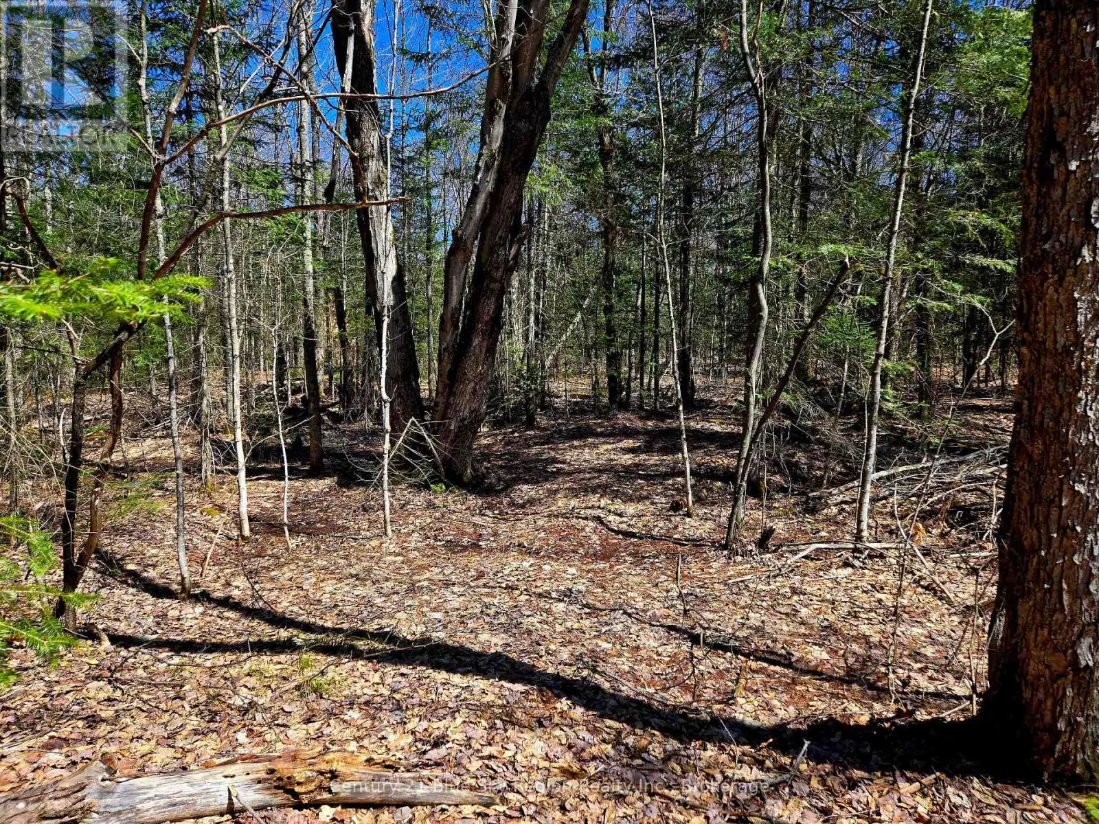 3267 Highway 534, Nipissing, Ontario P0H 1W0