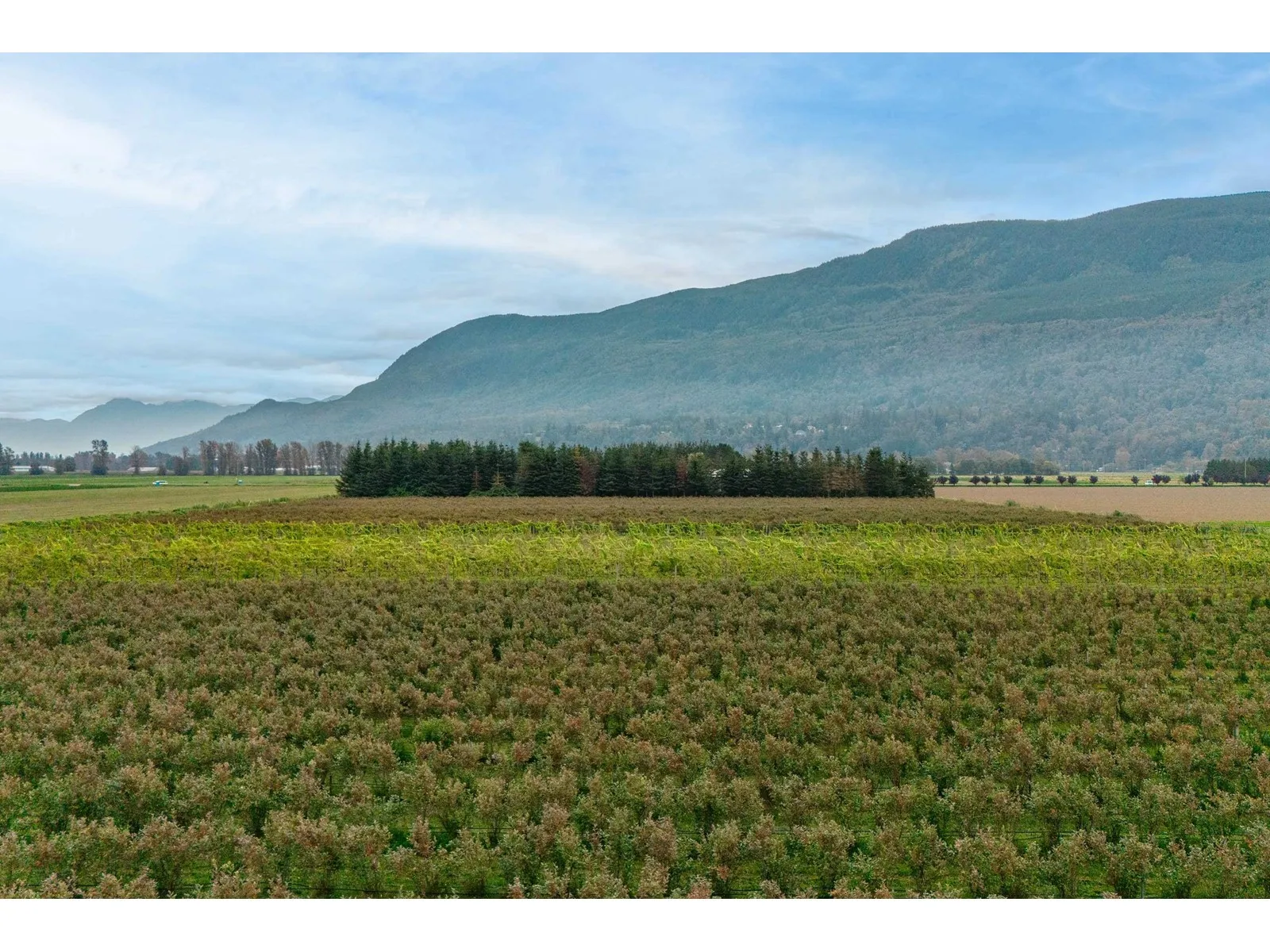 3387 Tolmie Road, Abbotsford, British Columbia V3G 2T9