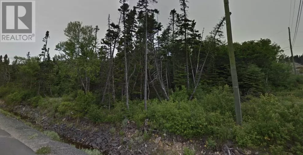 34 Vale Drive, Pouch Cove, Newfoundland & Labrador A0A 3L0