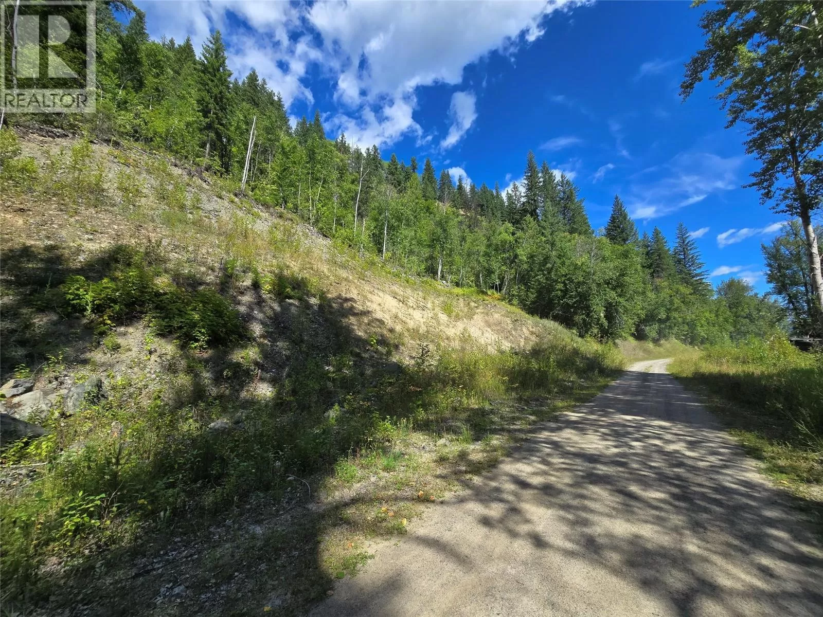 Other for rent: 3418 Roundtop Road, Clearwater, British Columbia V0E 2C0