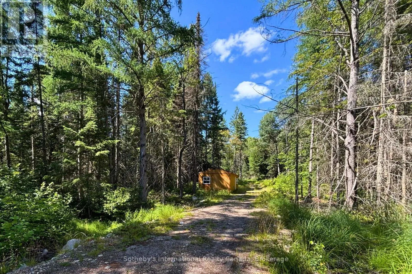 3432 Hwy 518 W (retained), McMurrich/Monteith, Ontario P0A 1Y0