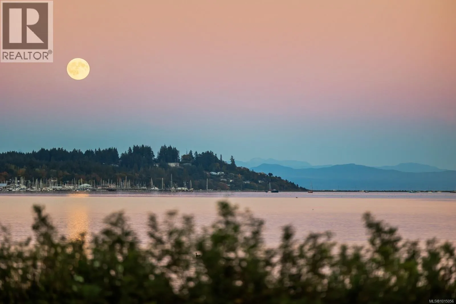 House for rent: 3440 Sandpiper Dr, Courtenay, British Columbia V9N 9T9