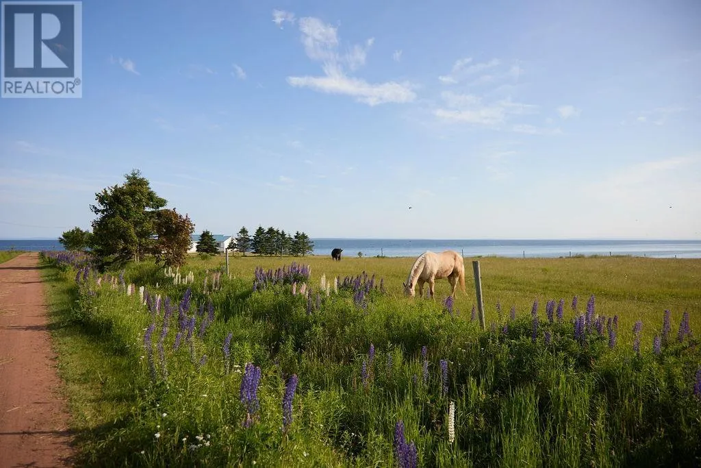 House for rent: 3595 Cape Bear Road, Murray Harbour, Prince Edward Island C0A 1V0