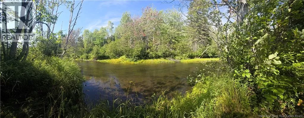36 Acres Route 135, Duguayville, New Brunswick E8M 1K2