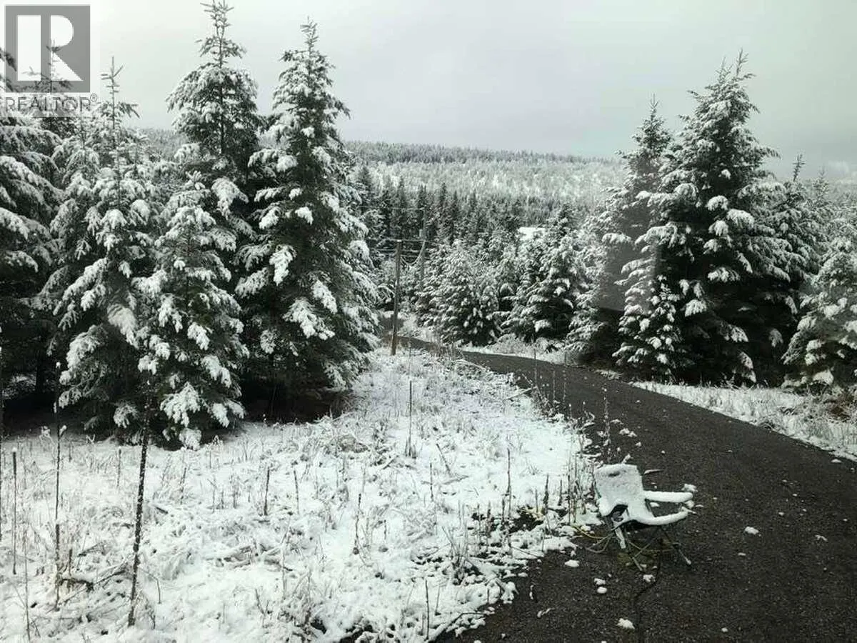 3631 Park Place, Lac La Hache, British Columbia V0K 1T1