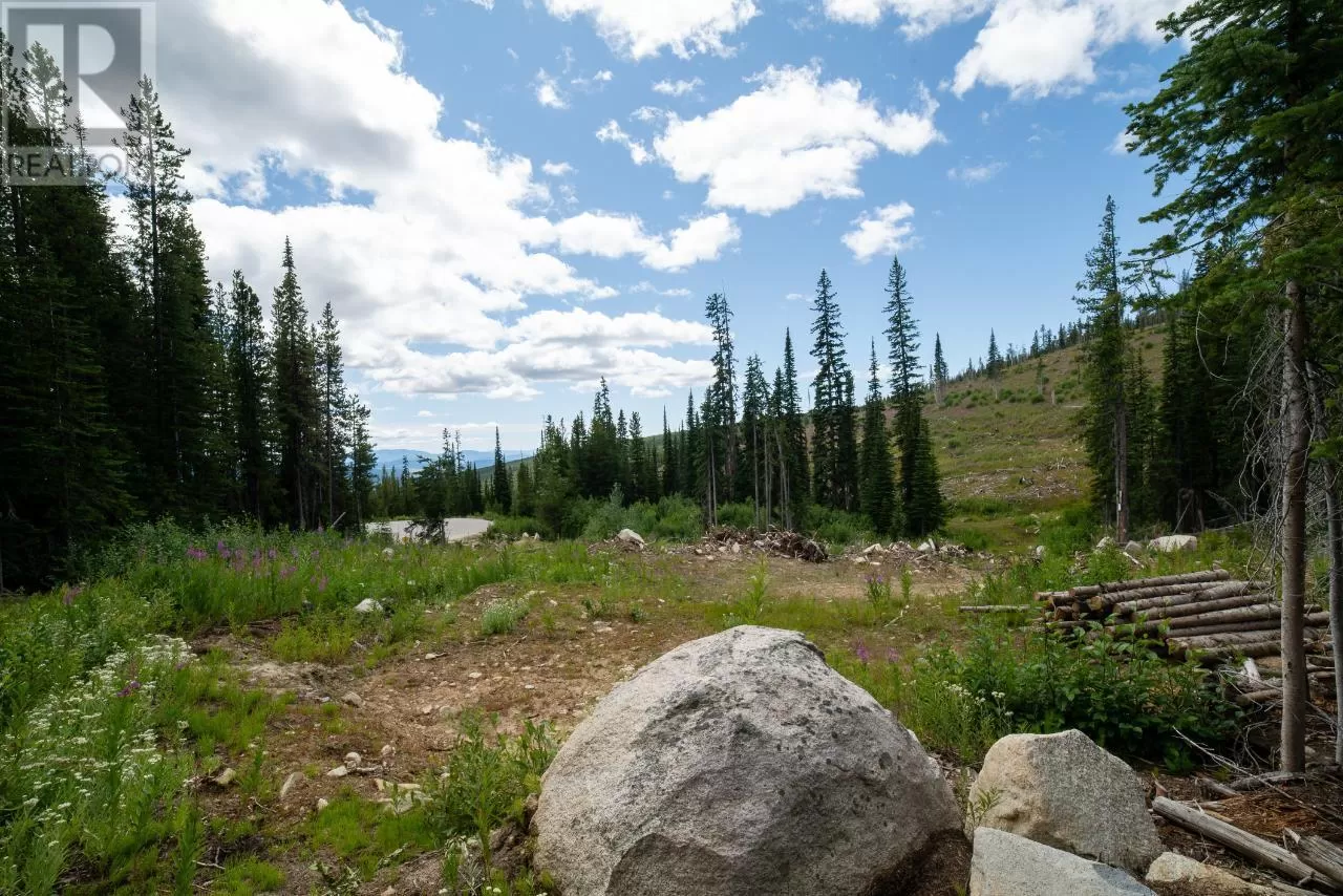 Other for rent: 369 Buck Road, Mount Baldy, British Columbia V0H 1B0