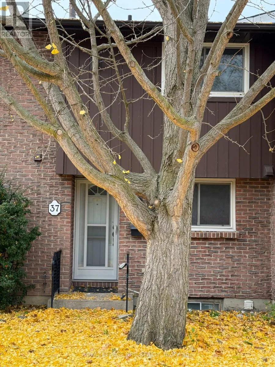 Row / Townhouse for rent: 37 - 151 Linwell Road, St. Catharines, Ontario L2N 6P3