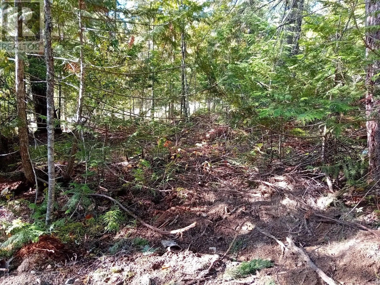 Other for rent: 372 Aspen Road, Anglemont, British Columbia V0E 1M8