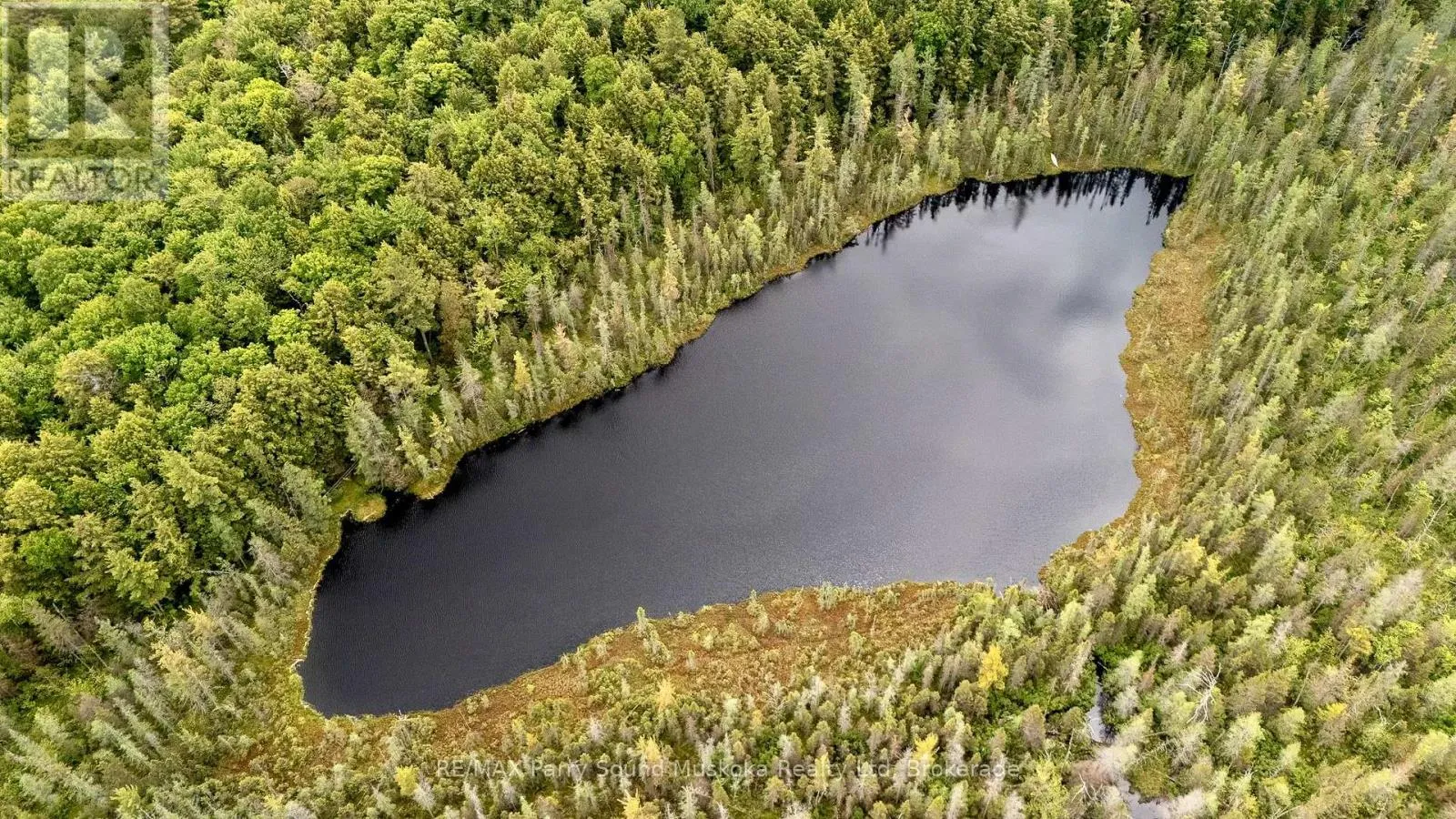 372 Mcdougall Road, McDougall, Ontario P2A 0B3