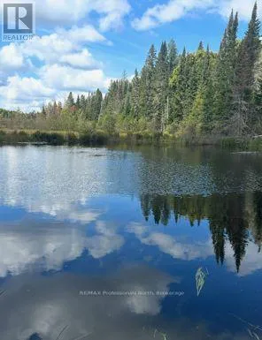 House for rent: 376 Riding Ranch Road, South River, Ontario P0A 1X0