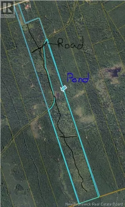 37.8 Hec Bettsburg Road, Bettsburg, New Brunswick E9C 1L1