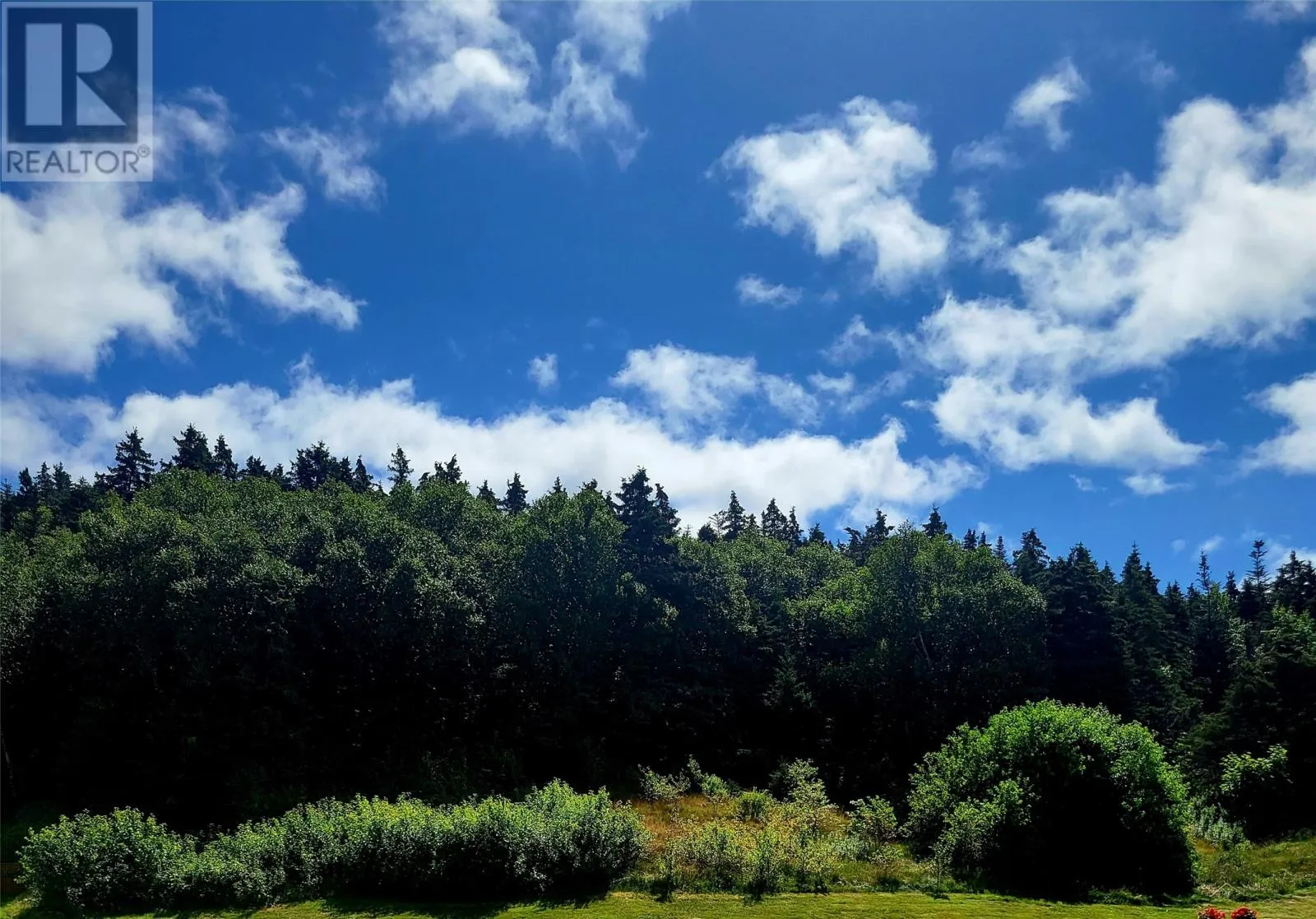 38 Cathill Road, BAY ROBERTS, Newfoundland & Labrador A0A 1G0