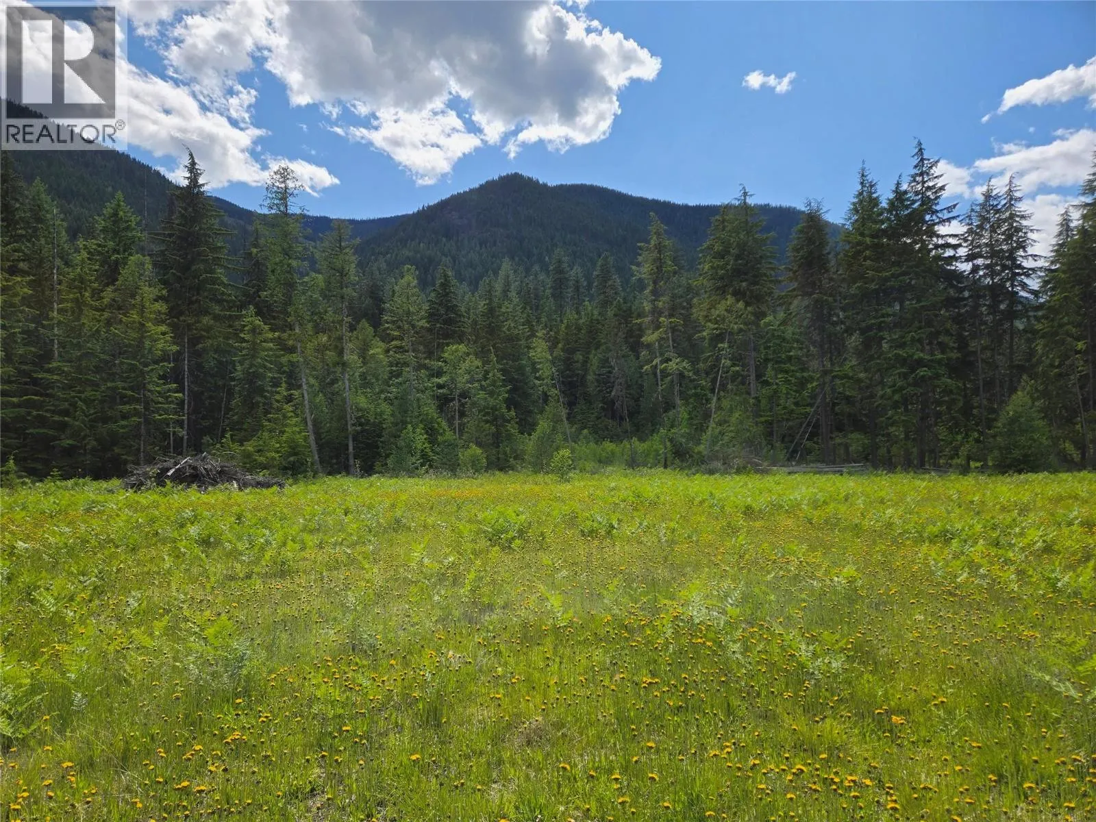 Other for rent: 3809 Passmore Upper Road, Passmore, British Columbia V1L 2J0