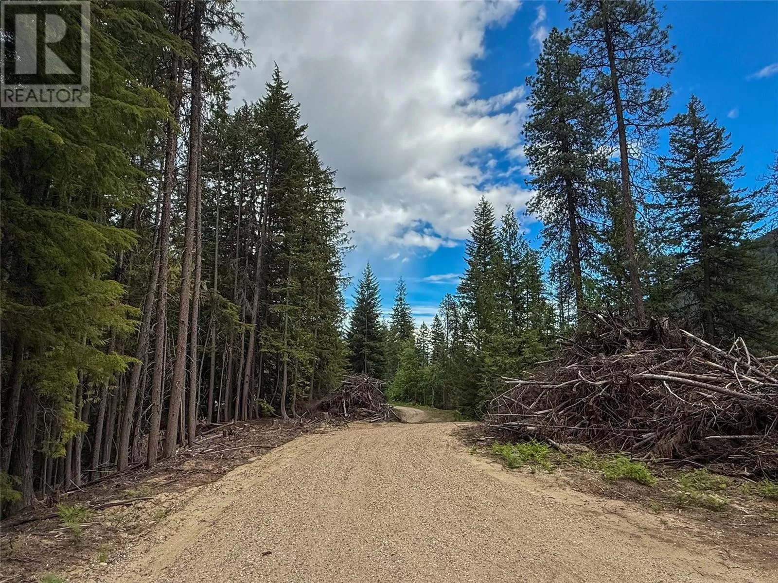 Other for rent: 3945 Saunders Road, Passmore, British Columbia V0G 2J0