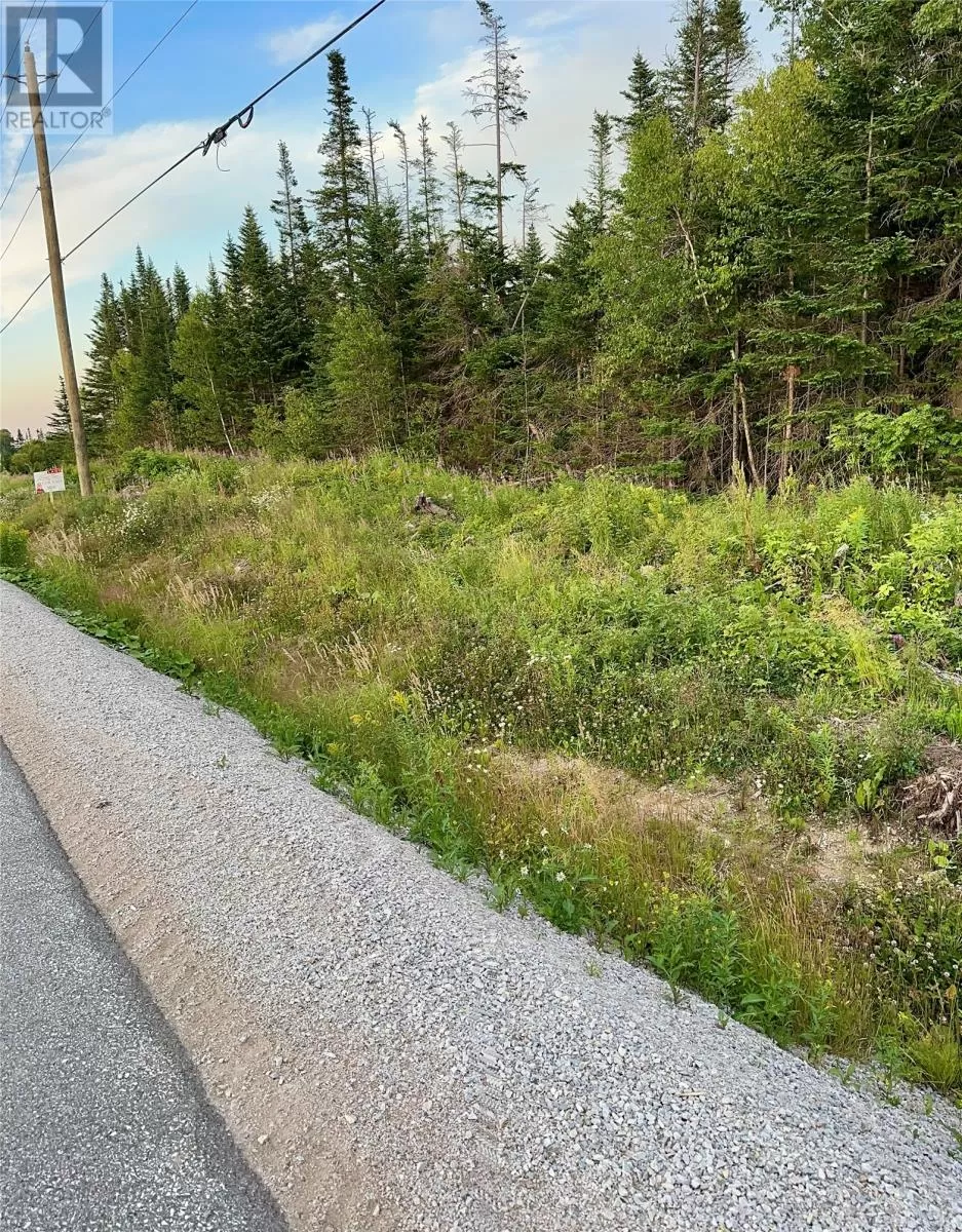 398 Veterans Drive, Cormack, Newfoundland & Labrador A8A 2R4