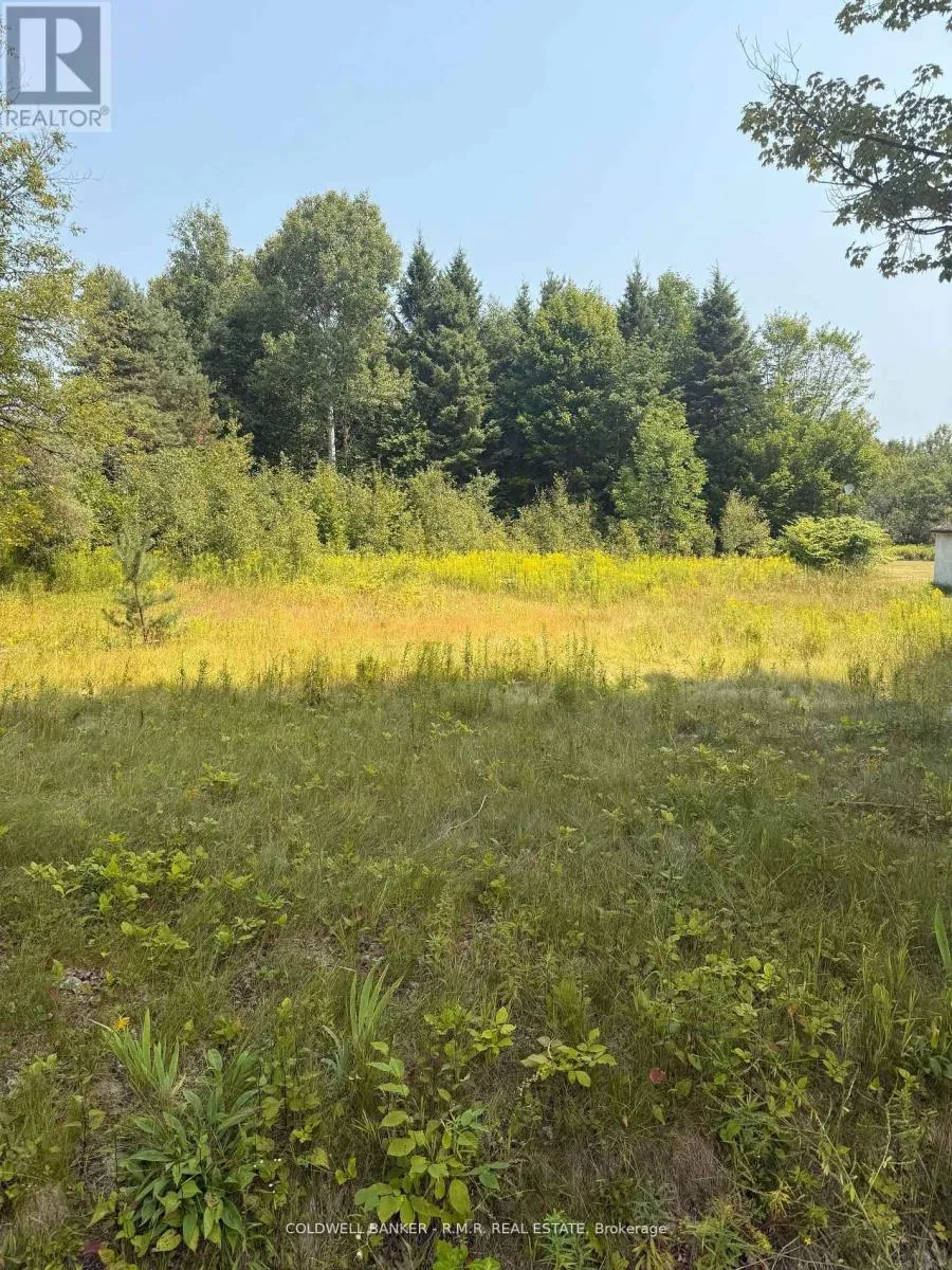 3995 Boulter Road, Hastings Highlands, Ontario K0L 1C0